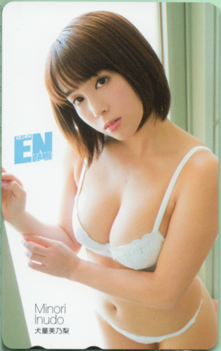 犬童美乃梨 ENTAME (エンタメ) テレカ