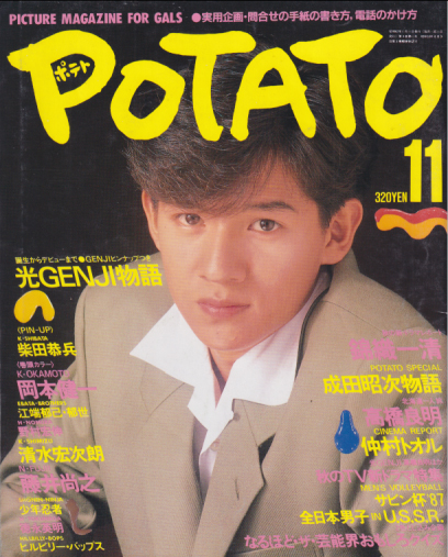  ポテト/POTATO 1987年11月号 雑誌