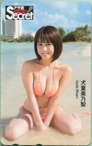 犬童美乃梨 週刊アサヒ芸能増刊 アサ芸Secret!/シークレット テレカ