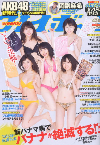  週刊プレイボーイ 2016年6月13日号 (No.24) 雑誌