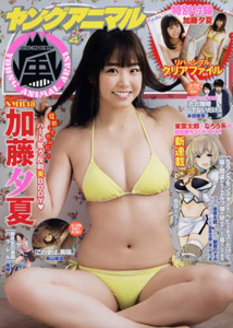  ヤングアニマル嵐 2018年4月号 (No.4) 雑誌