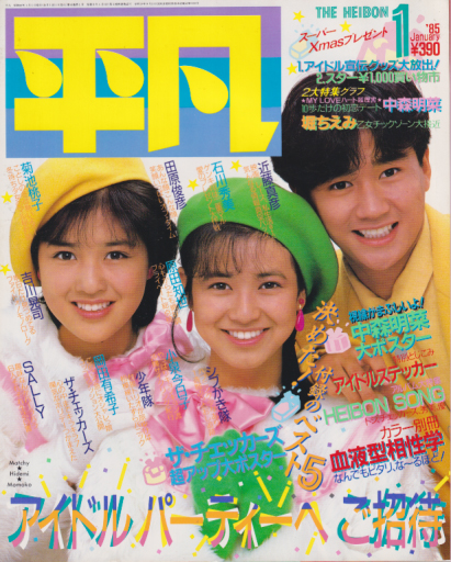 月刊平凡 1985年1月号 雑誌