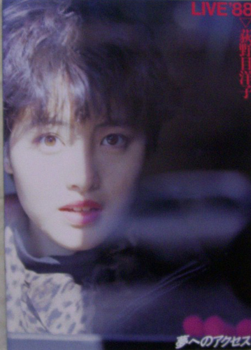 荻野目洋子 LIVE ’88 夢へのアクセス コンサートパンフレット