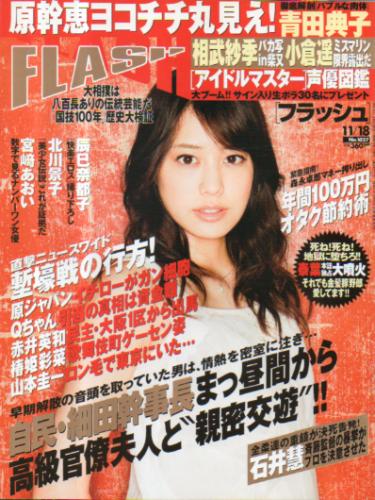  FLASH (フラッシュ) 2008年11月18日号 (1027号) 雑誌