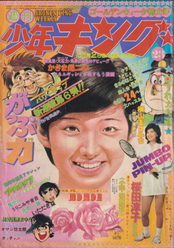  週刊少年キング 1975年6月2日号 (No.23) 雑誌