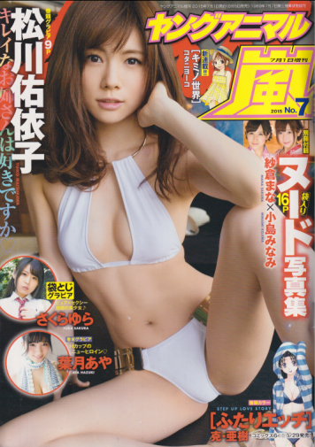 ヤングアニマル嵐 2015年7月号 (No.7) 雑誌