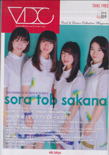  VDC Magazine (no.009) 雑誌