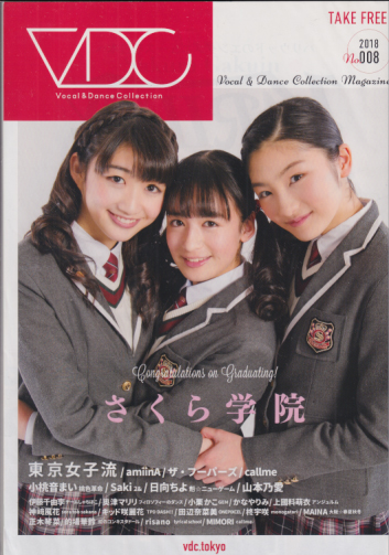  VDC Magazine (no.008) 雑誌