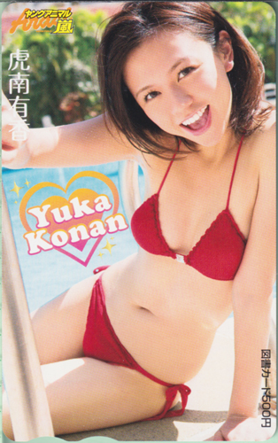 虎南有香 ヤングアニマル嵐 図書カード