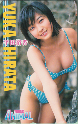平田裕香 ヤングアニマル テレカ