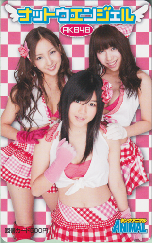 AKB48, 板野友美, ほか ヤングアニマル 2010年2月26日号 (No.4) 図書カード