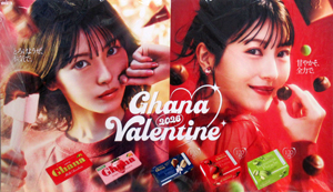 浜辺美波 LOTTE ガーナ チョコレート 店頭用パネル その他のパネル