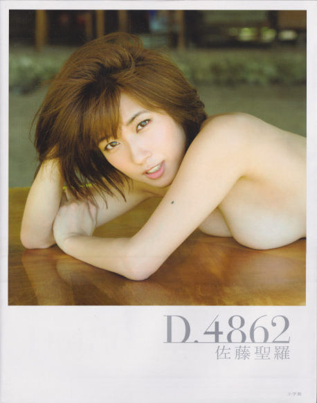 佐藤聖羅 D.4862 直筆サイン入り写真集