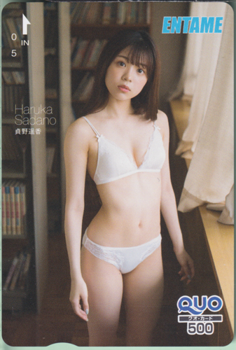 貞野遥香 ENTAME (エンタメ) クオカード
