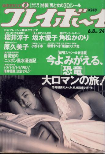  週刊プレイボーイ 1993年6月8日号 (No.24) 雑誌