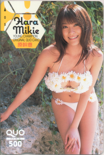 原幹恵 ヤングチャンピオン クオカード