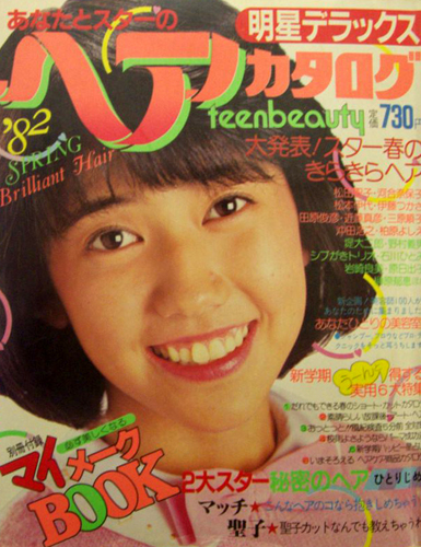  明星デラックス あなたとスターのヘアカタログ (’82春号 VOL.10/明星ヘアカタログ 1982年4月号) 雑誌