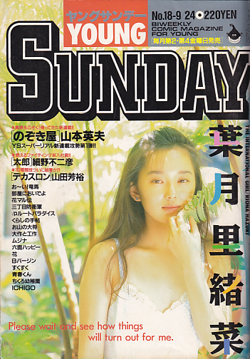  週刊ヤングサンデー 1993年9月24日号 (No.18) 雑誌