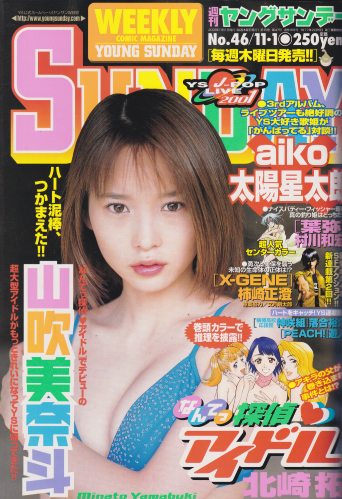  週刊ヤングサンデー 2001年11月1日号 (No.46) 雑誌