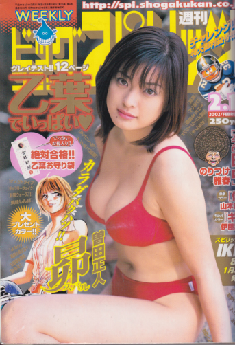  ビッグコミックスピリッツ 2002年2月11日号 (NO.9) 雑誌