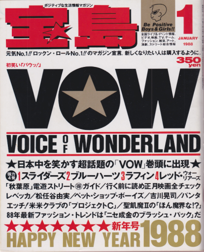  宝島 1988年1月号 (通巻169号) 雑誌