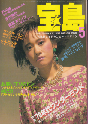  宝島 1985年5月号 (通巻137号) 雑誌
