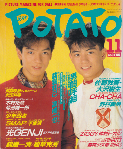  ポテト/POTATO 1989年11月号 雑誌