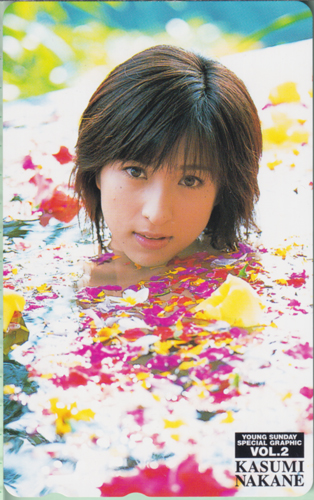 仲根かすみ YOUNG SUNDAY SPECIAL GRAPHIC VOL.2 週刊ヤングサンデースペシャルグラフィック テレカ