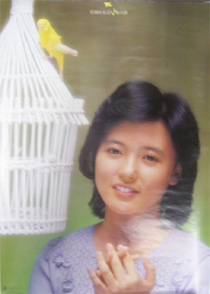 杉田かおる シングル「鳥の詩」 ポスター
