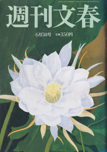  週刊文春 2008年6月5日号 (50巻 22号 通巻2480号) 雑誌