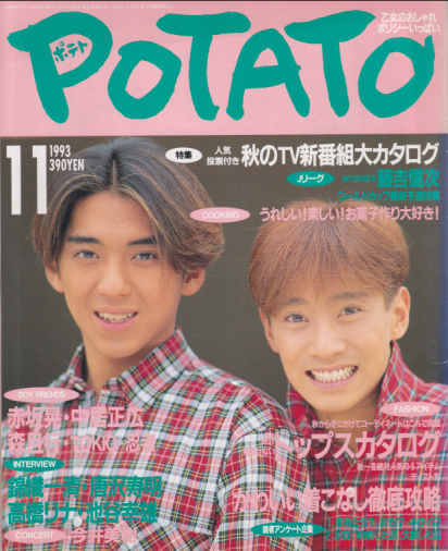  ポテト/POTATO 1993年11月号 雑誌