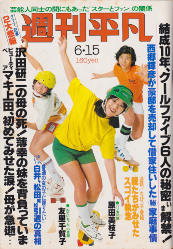  週刊平凡 1978年6月15日号 (976号) 雑誌