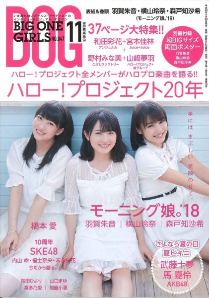  BOG/BIG ONE GIRLS 2018年11月号 (NO.047) 雑誌