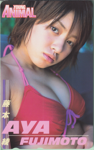 藤本綾 ヤングアニマル テレカ
