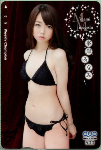 峯岸みなみ 週刊少年チャンピオン クオカード