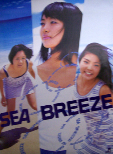 dream ブリストル・マイヤーズ シーブリーズ/SEA BREEZE ポスター