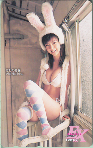 ほしのあき エキサイター/EXciter EX 2007年2月号 テレカ