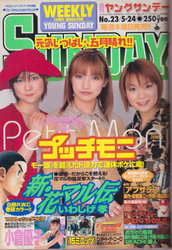  週刊ヤングサンデー 2001年5月24日号 (No.23) 雑誌