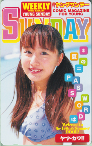 山川恵里佳 週刊ヤングサンデー テレカ