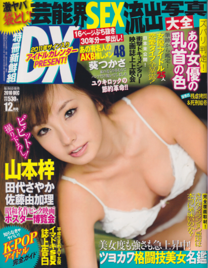  特冊新鮮組DX 2010年12月号 (通巻612号) 雑誌