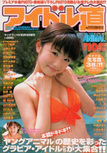 ヤングアニマル増刊 アイドル道 2002年10月3日号 雑誌