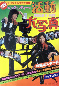 ピンク・レディー ピンク・レディーの活動大写真 オリジナルグラフ特集 写真集