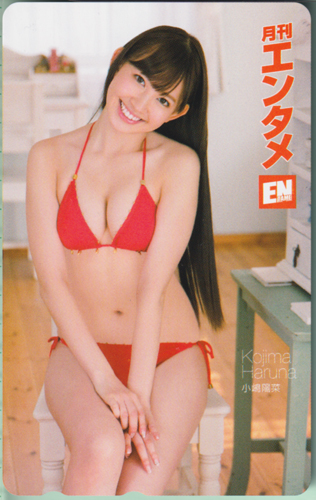 小嶋陽菜 ENTAME (エンタメ) テレカ