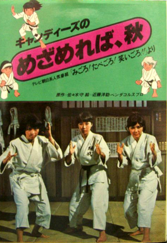 キャンディーズ キャンディーズのめざめれば、秋 テレビ朝日系人気番組「みごろ!たべごろ!笑いごろ!!」より タレント本