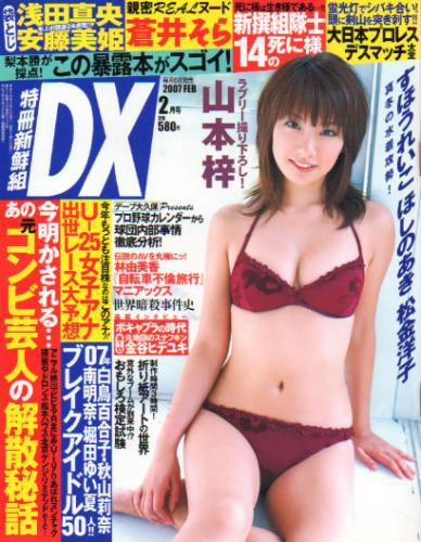  特冊新鮮組DX 2007年2月号 (535号) 雑誌