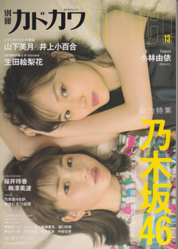  別冊カドカワ DirecT (13) 雑誌