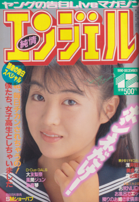  純情エンジェル/純情angel 1990年12月号 (Vol.28) 雑誌
