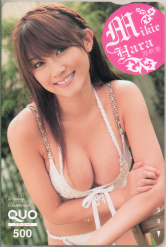 原幹恵 週刊少年チャンピオン クオカード