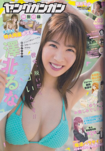  ヤングガンガン 2019年2月1日号 (No.3) 雑誌