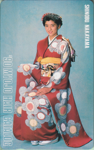 中山忍 明星ヘアカタログ 1990年1月号 (Vol.46) テレカ